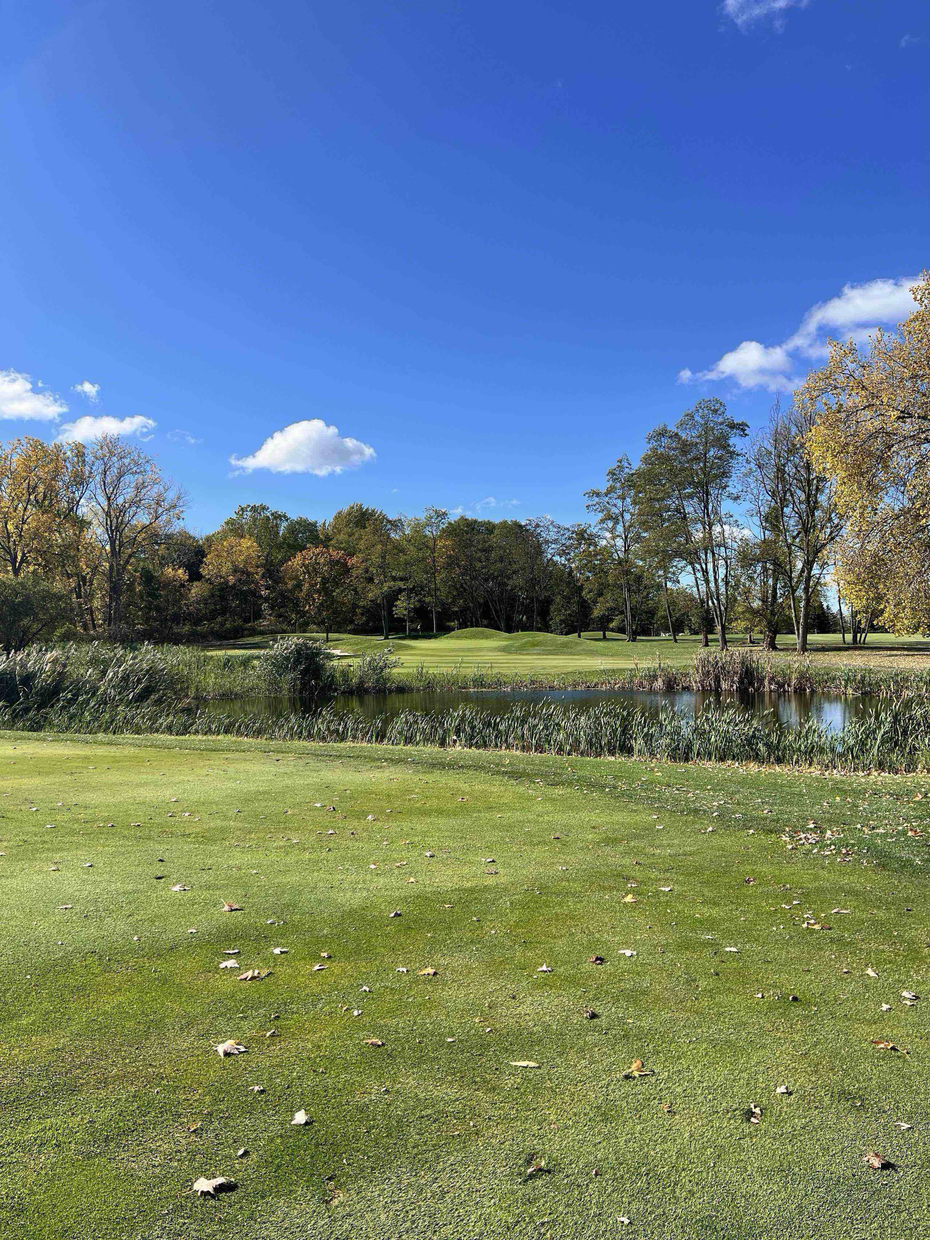 Golfer photo from a round at Lockport Town & Country Club in Lockport, New York