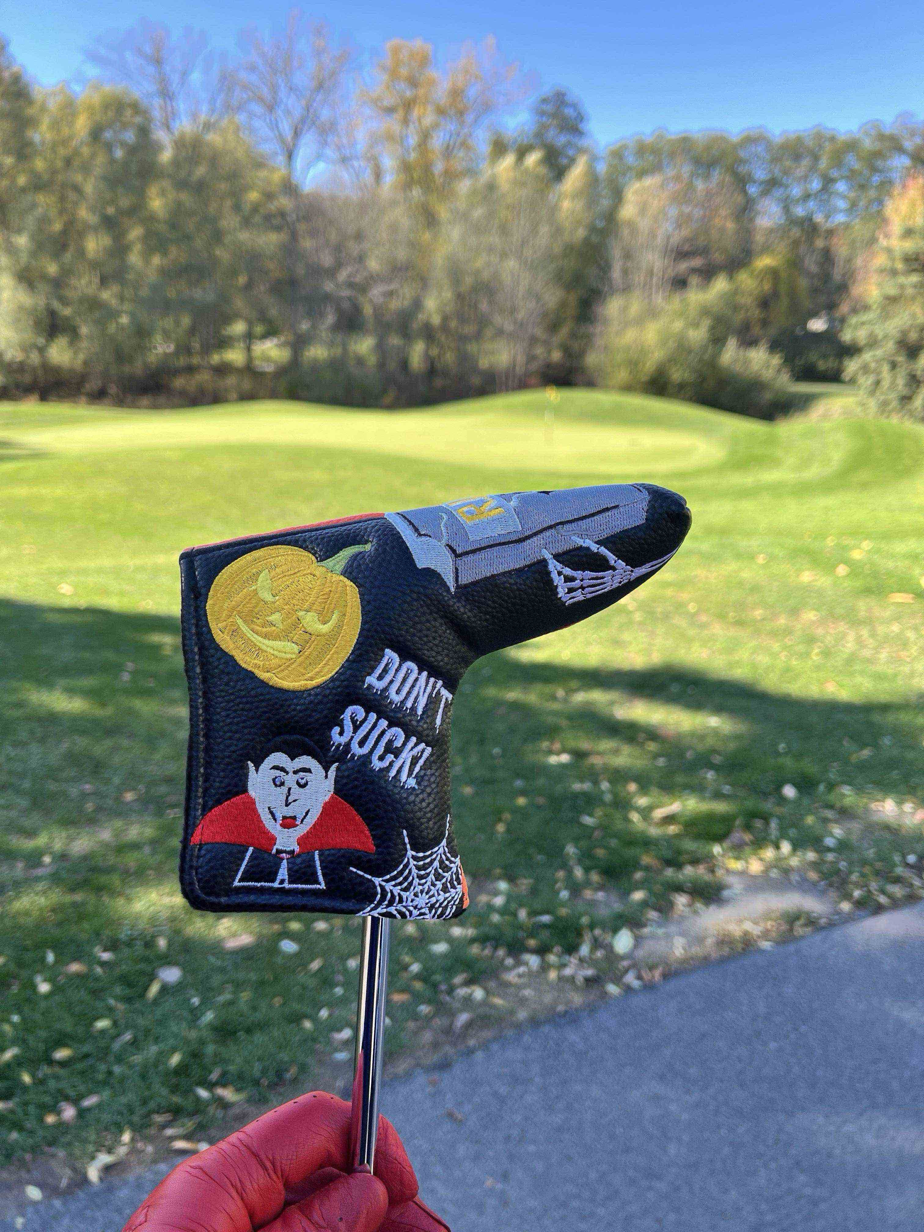 Golfer photo from a round at Lockport Town & Country Club in Lockport, New York