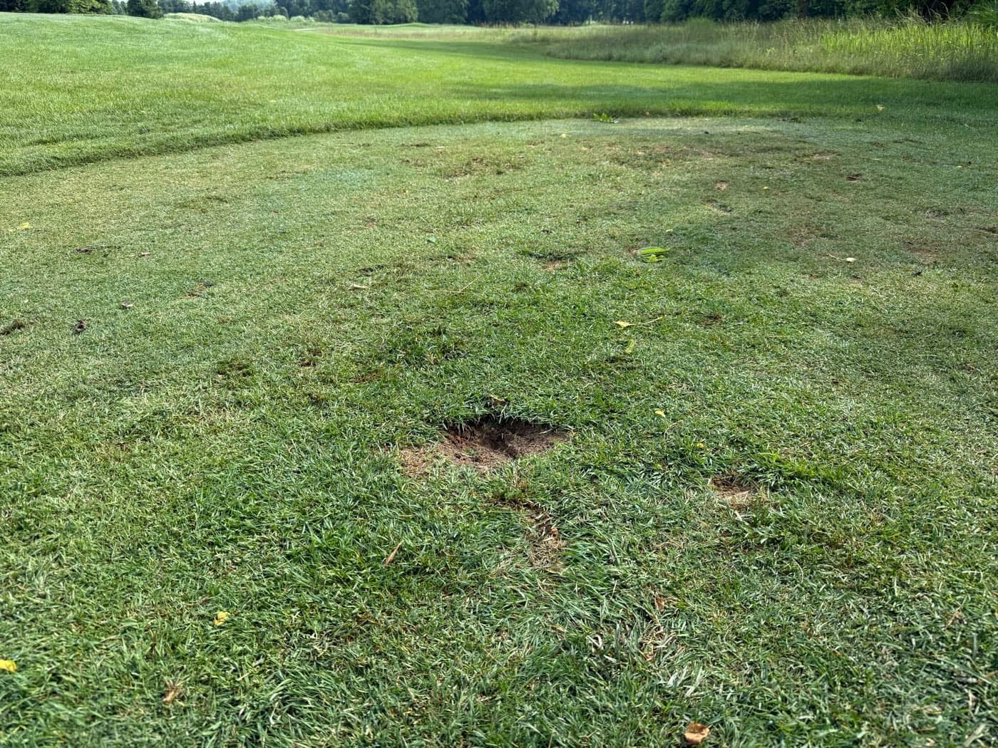 Golfer photo from a round at Westchester Golf Course in Canal Winchester, Ohio