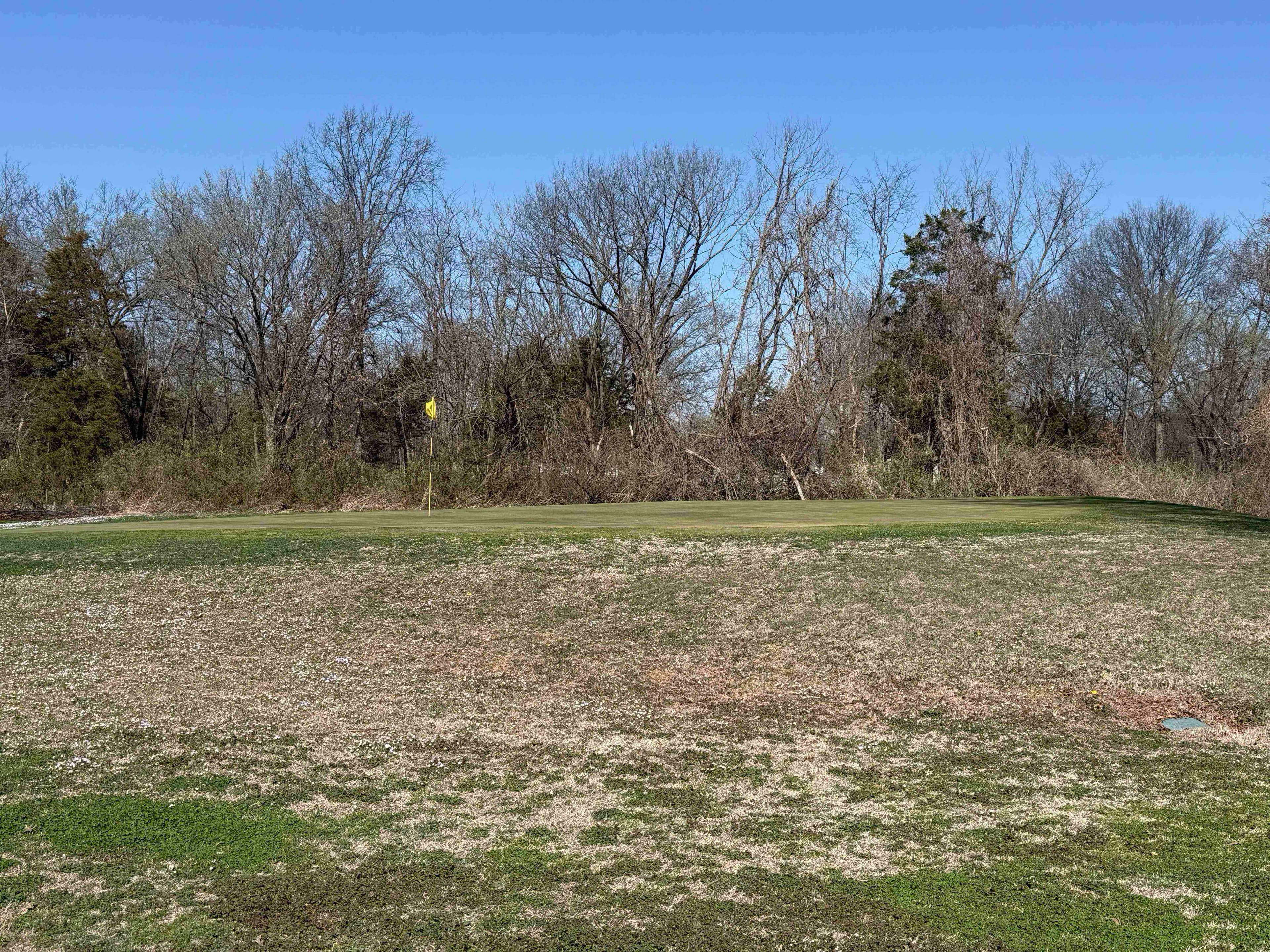 Golfer photo from a round at Countryside Golf Course in Pittsburg, Kansas