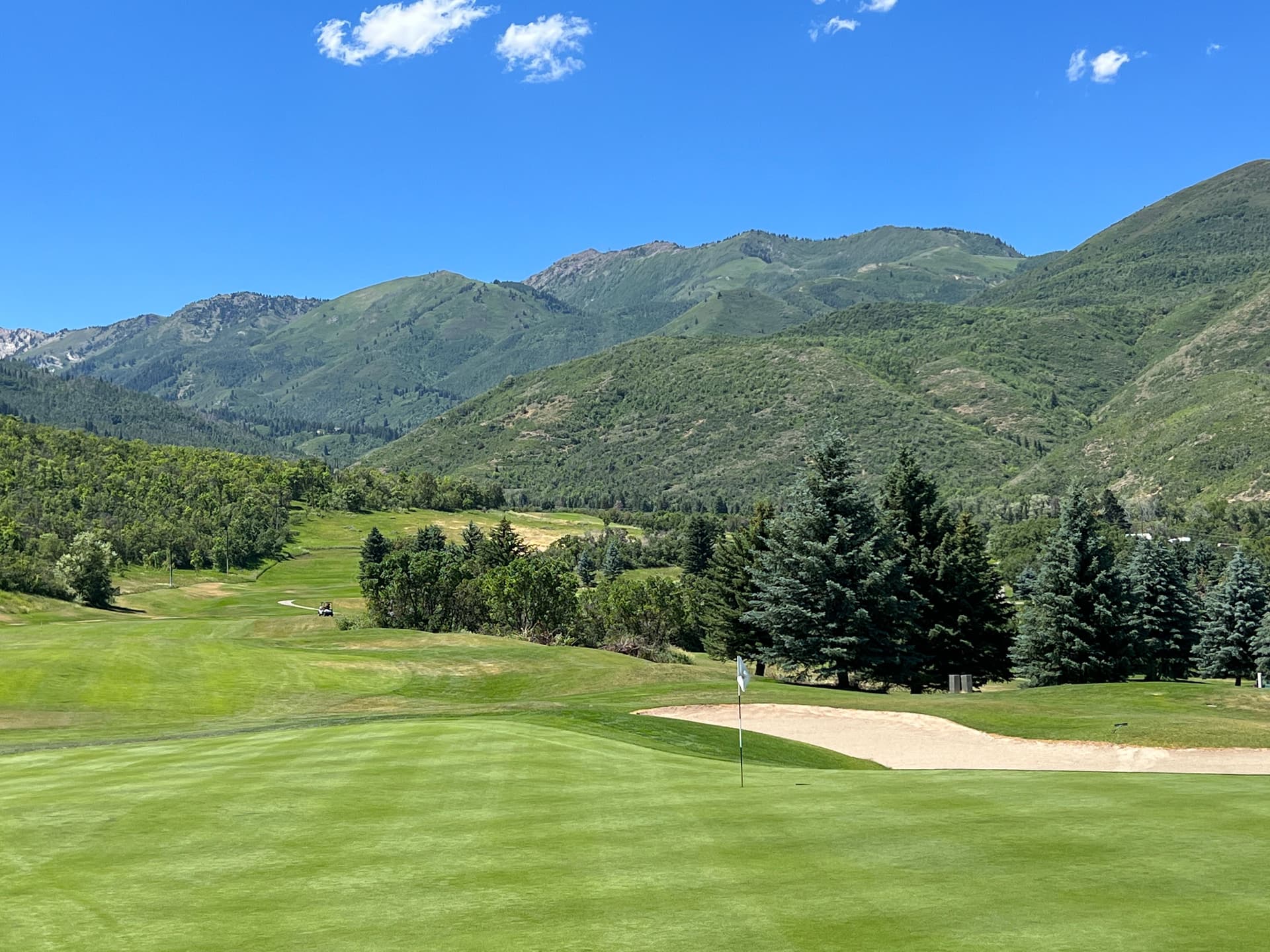 Wasatch