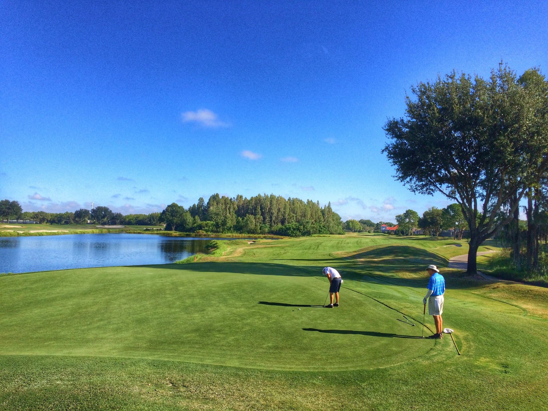 Golfers putting