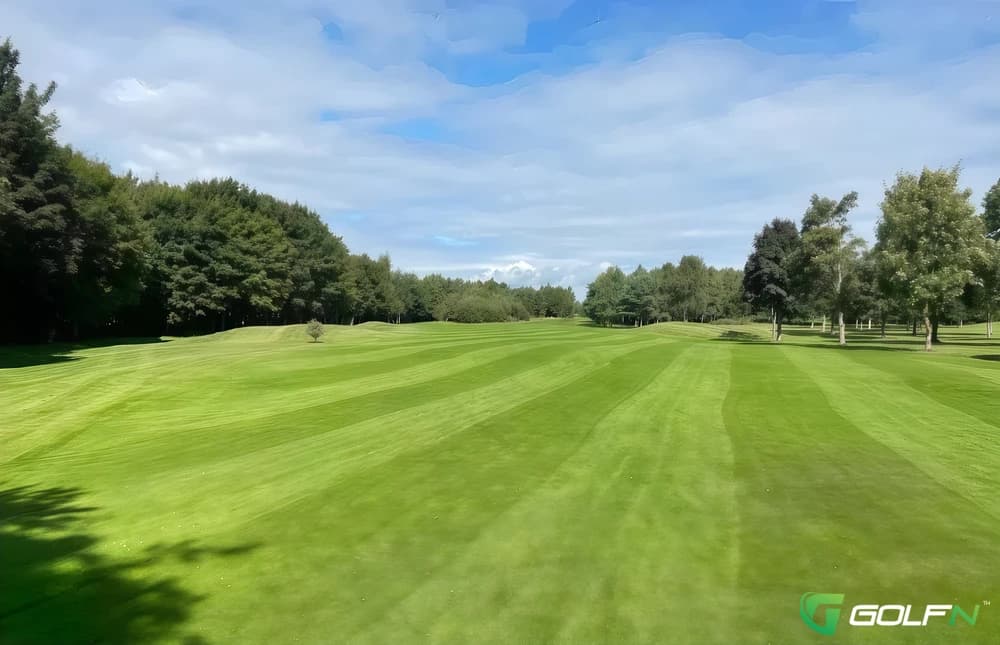 Newbridge Golf Club in Tankardsgarden, Kildare โ private, 18-hole golf course