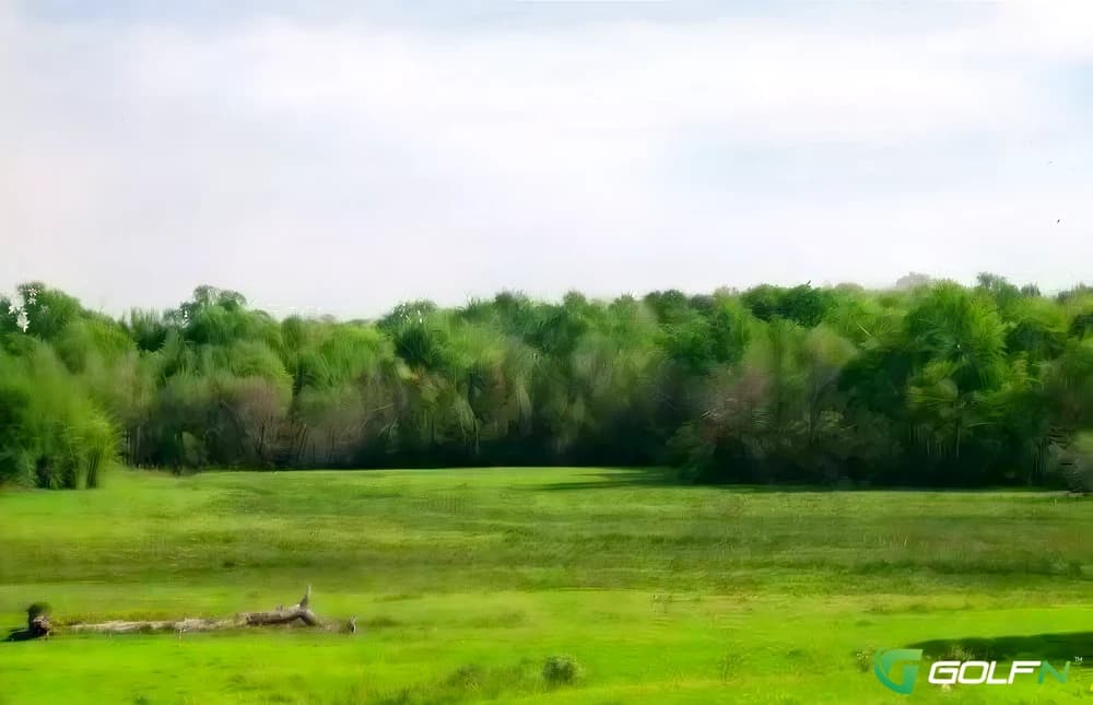 Fairfield Country Club in Winnsboro, South Carolina — private, 9-hole golf course, designed by Robert Renaud