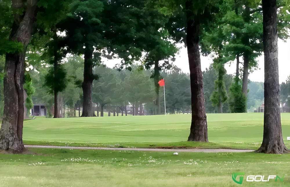Twin Pines Country Club in Russellville, Alabama — semi-private, 18-hole golf course