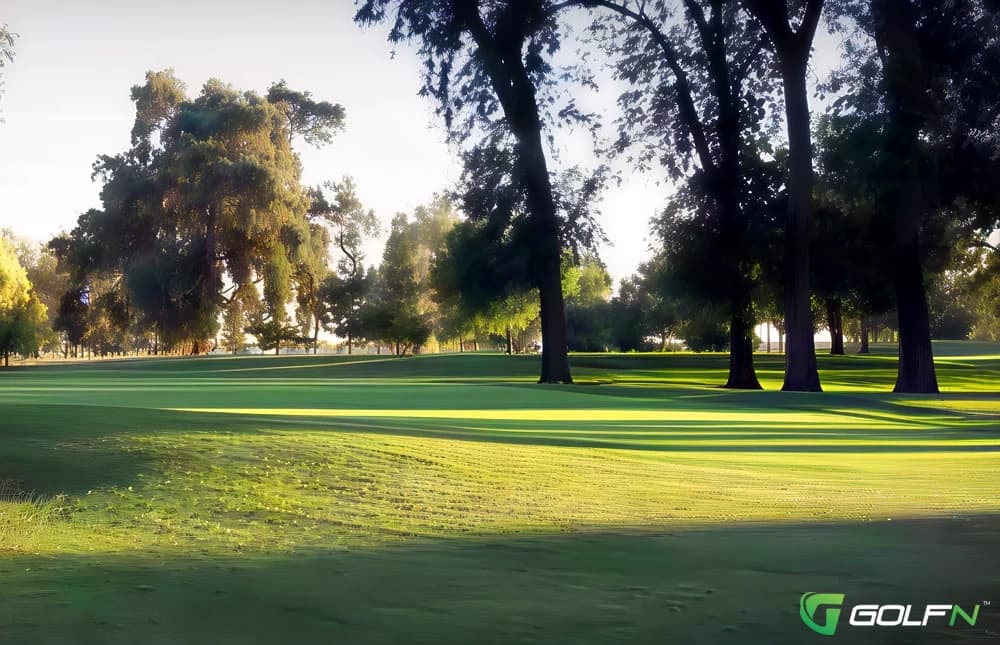 Oaks - Valley Oaks Golf Club in Visalia, California — public, 27-hole golf course, designed by Bob Putman