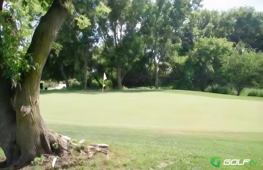 Bridges Golf Course in Madison, Wisconsin — public, 18-hole golf course