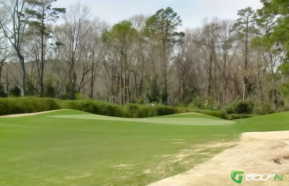Palmetto Golf Club in Aiken, South Carolina — private, 18-hole golf course, designed by Alister MacKenzie (1932)