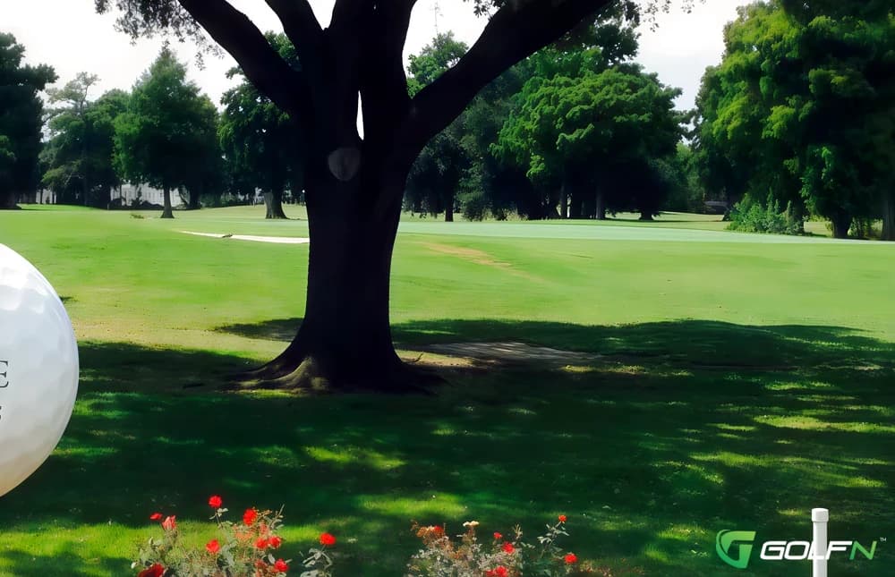 Timberlane Country Club in Gretna, Louisiana — semi-private, 18-hole golf course, designed by Robert Trent Jones, Sr. (1959)