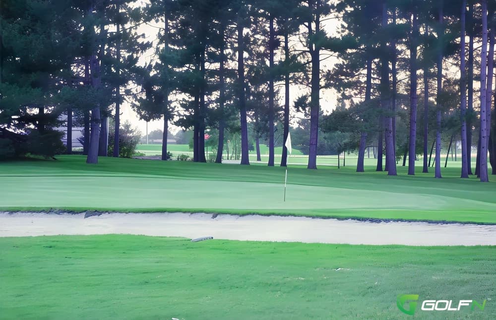Pine - Perham Lakeside Country Club in Perham, Minnesota — public, 27-hole golf course, designed by Joel Goldstrand