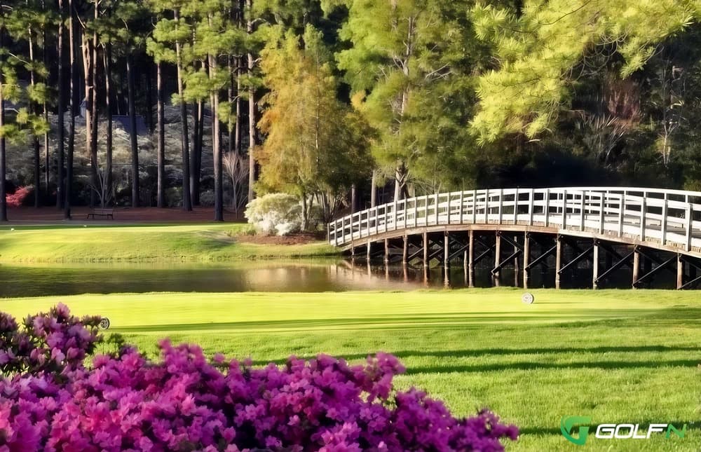 Cardinal - Country Club Of North Carolina in Pinehurst, North Carolina — private, 36-hole golf course, designed by Robert Trent Jones, Sr. (1981)