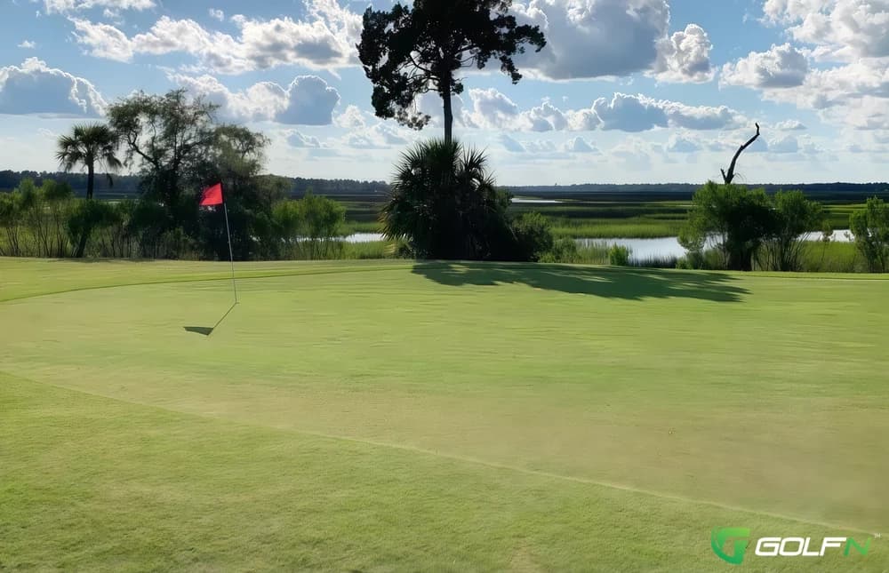 Laurel Island Links in Kingsland, Georgia — public, 18-hole golf course, designed by Davis Love III (1996)