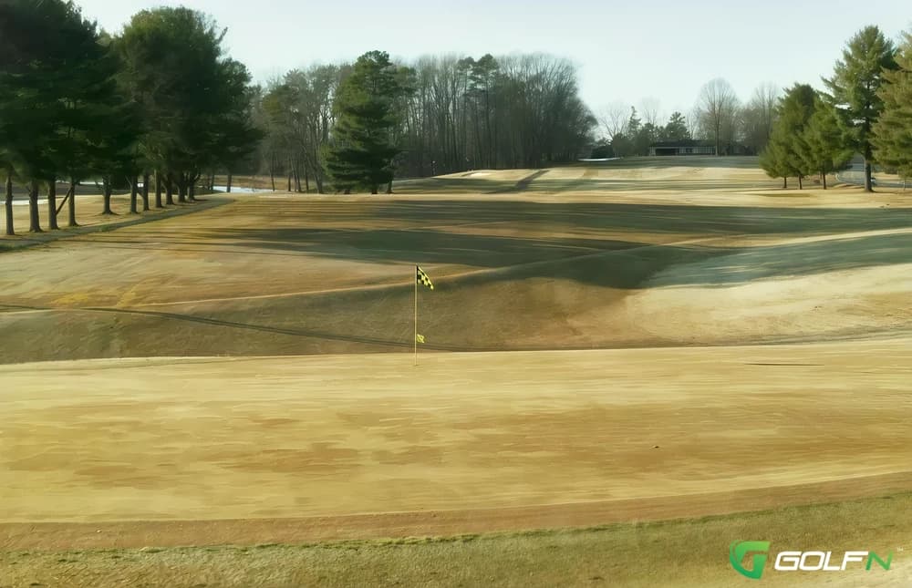 Dusty Hills Country Club in Marion, South Carolina — semi-private, 18-hole golf course, designed by Ellis Maples (1962)