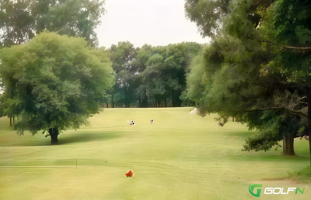 Pine Hollow Golf Course in Jackson, Michigan — public, 18-hole golf course, designed by Morris Wilson
