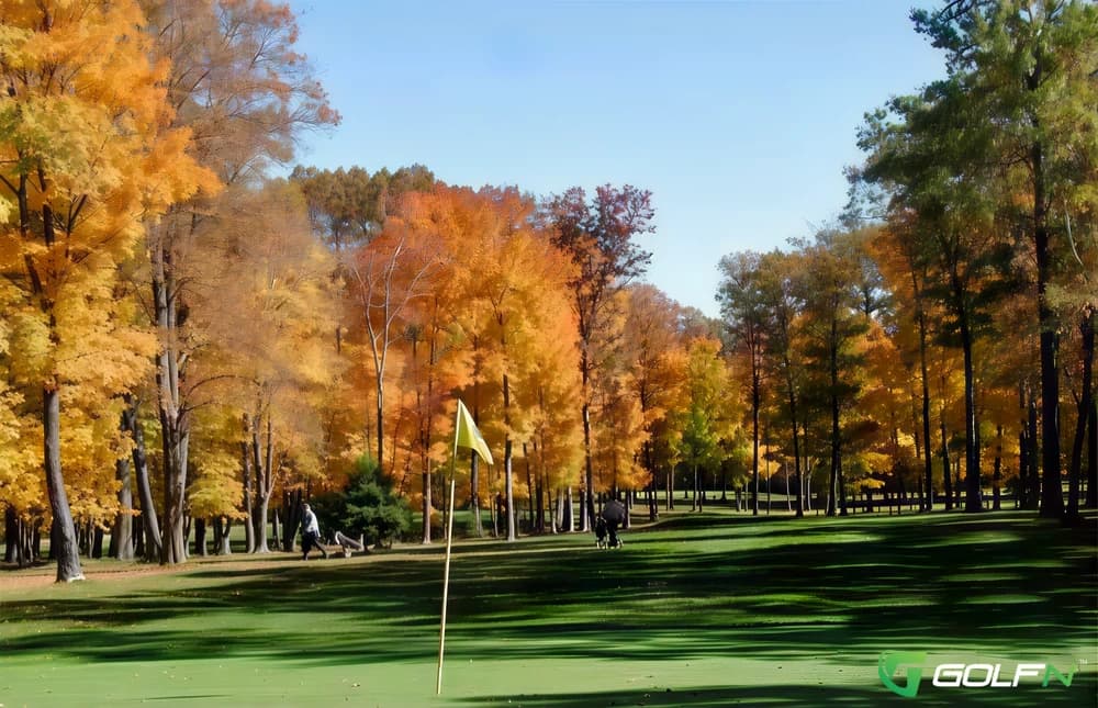 Maple Ridge Golf Course in Bemidji, Minnesota — public, 9-hole golf course