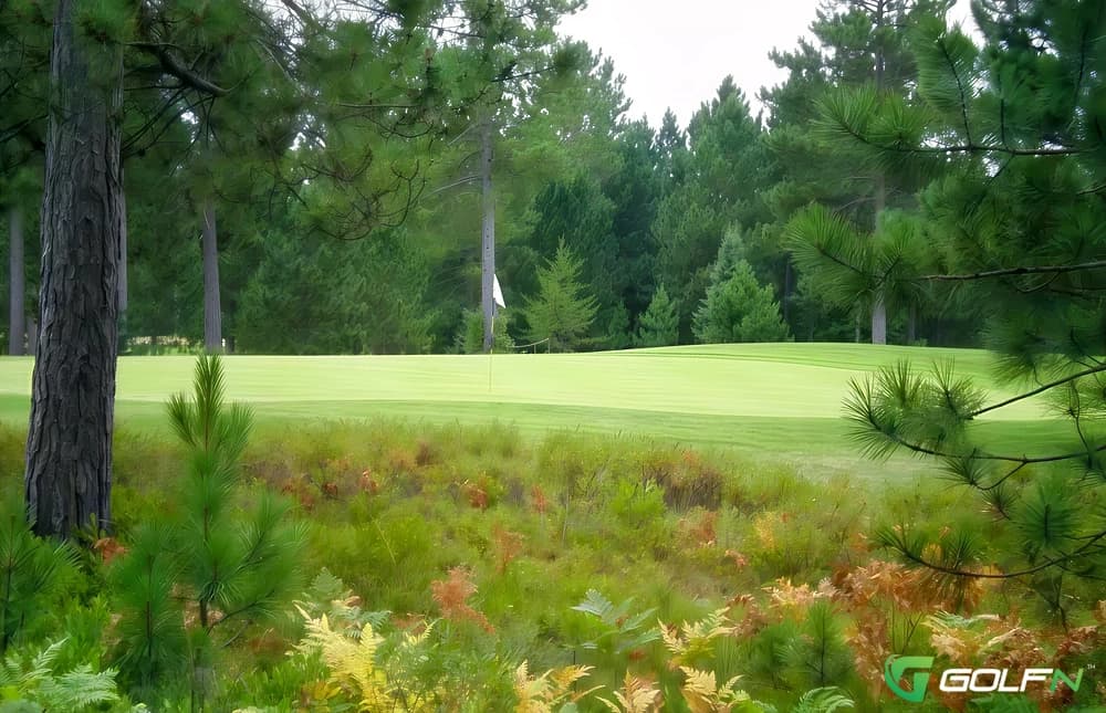 Creek - Moose Run Golf Course in Fort Richardson, Alaska — military, 36-hole golf course, designed by Bruce Matthews III (1992)
