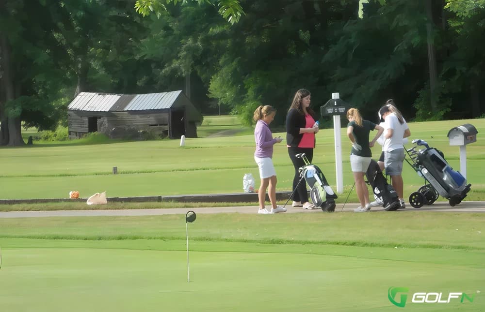 Beechwood Greens Golf Course in Mount Morris, Michigan — public, 9-hole golf course