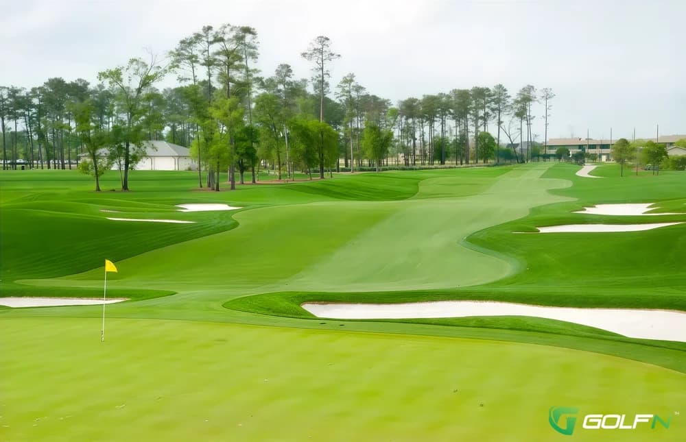 Member - Golf Club Of Houston in Humble, Texas — semi-private, 36-hole golf course, designed by Rees Jones (2005)