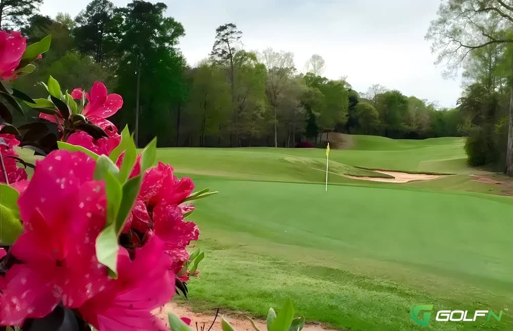 Azaleas - Dancing Rabbit Golf Club in Philadelphia, Mississippi — resort, 36-hole golf course, designed by Tom Fazio (1997)