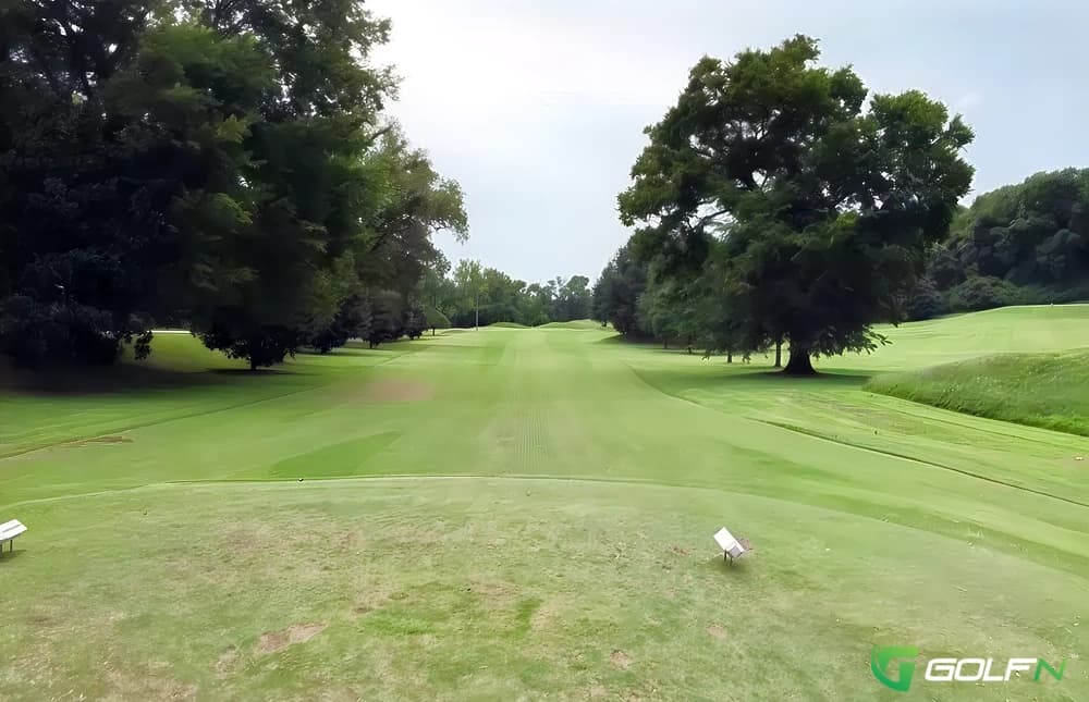 Vinnylinks Golf Course in Nashville, Tennessee — public, 9-hole golf course, designed by Donald Ross (2001)