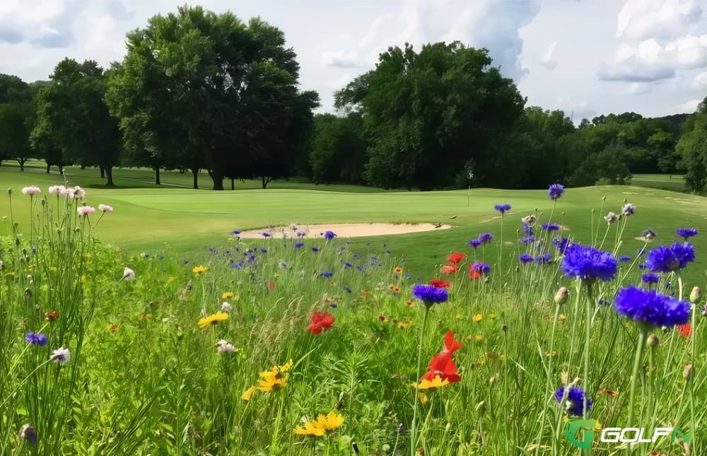 Berksdale Golf Course in Bella Vista, Arkansas — semi-private, 18-hole golf course, designed by Ed Ault (1968)