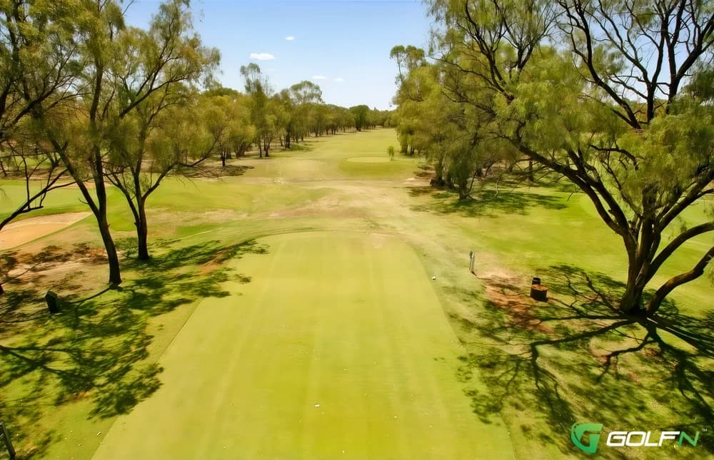 Coomealla Golf Club in Dareton, New South Wales β semi-private, 18-hole golf course
