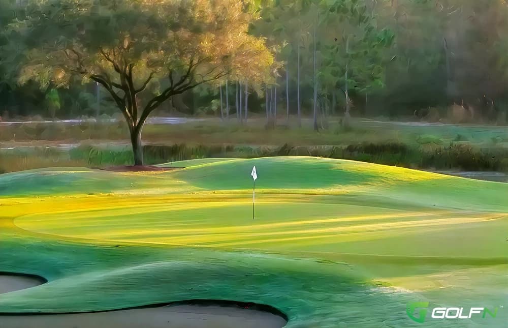 North - Shadow Wood Country Club in Bonita Springs, Florida — private, 18-hole golf course, designed by Bob Cupp (2000)