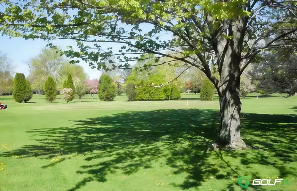 Warfield Greens Golf Course in Fraser, Michigan — public, 9-hole golf course