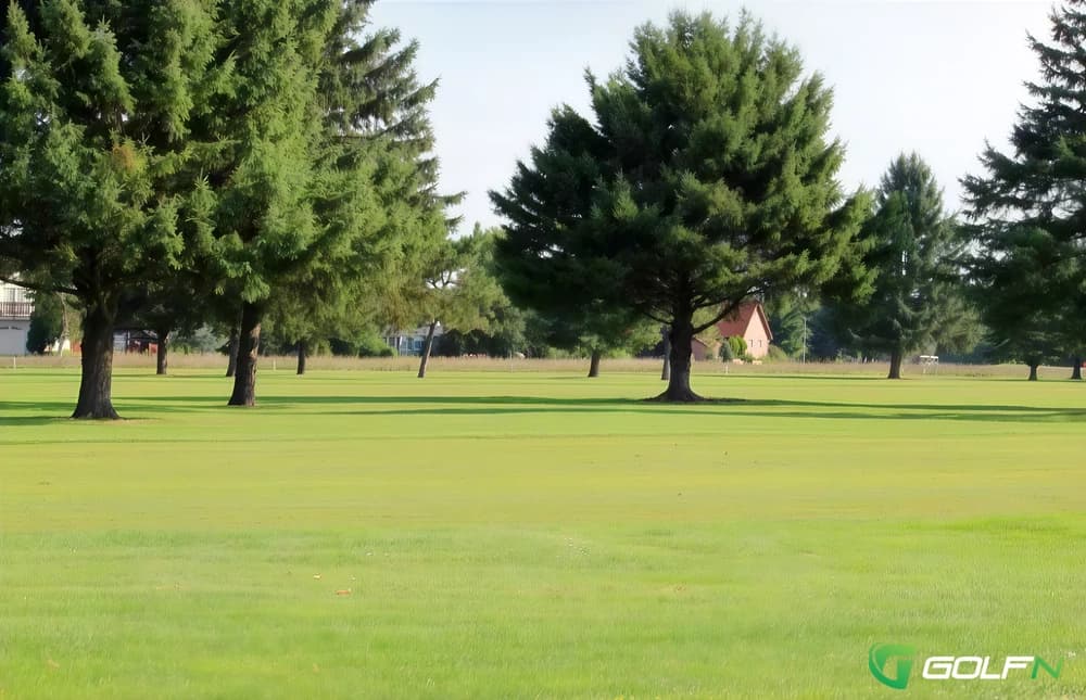 Little Pine Nine - Pine View Golf Course in Ypsilanti, Michigan — public, 27-hole golf course, designed by Harley Hodges
