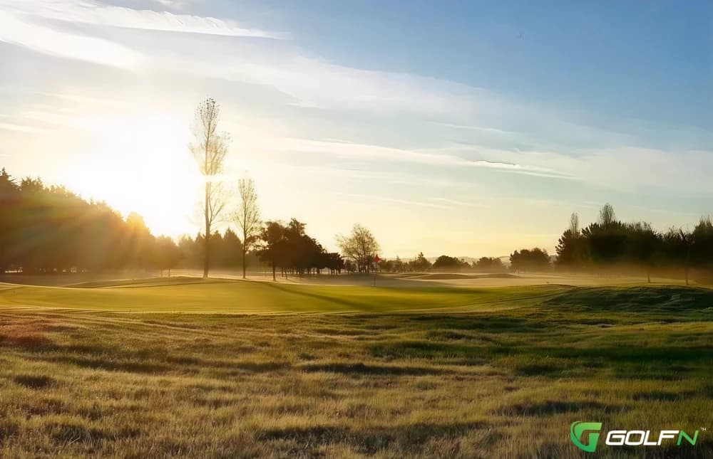 Woodland - Dorset Golf & Country Club in Nr Wareham, England — resort, 9-hole golf course, designed by Martin Hawtree (1992)