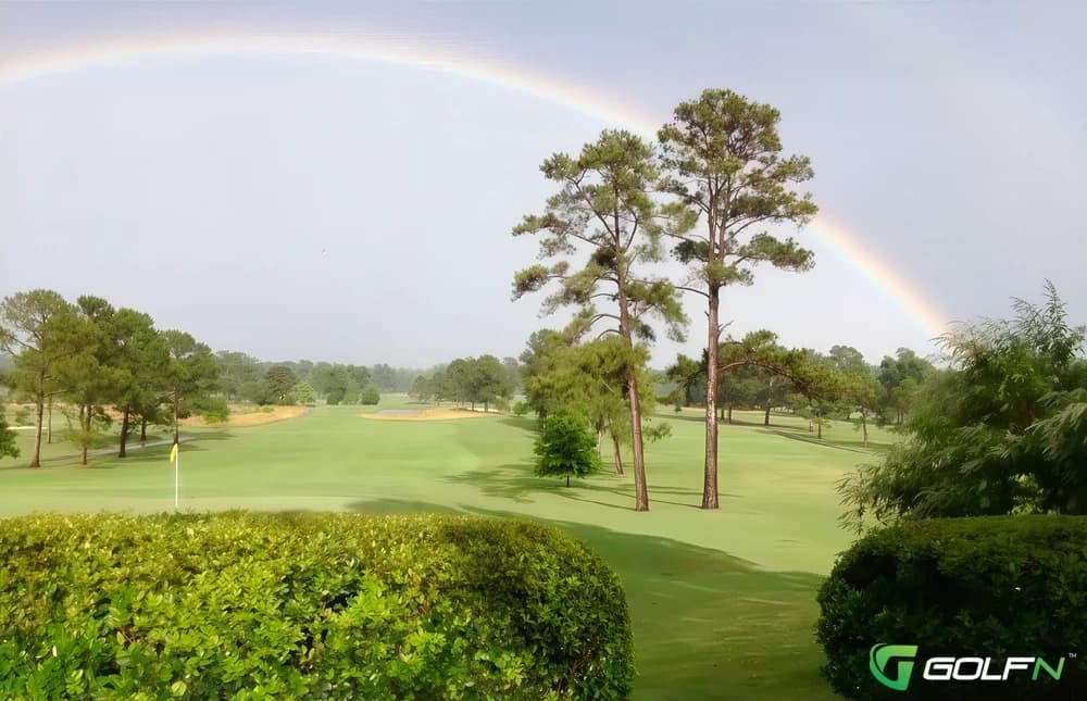 Cypress - Country Club Of Jackson in Jackson, Mississippi — private, 27-hole golf course, designed by Dick Wilson