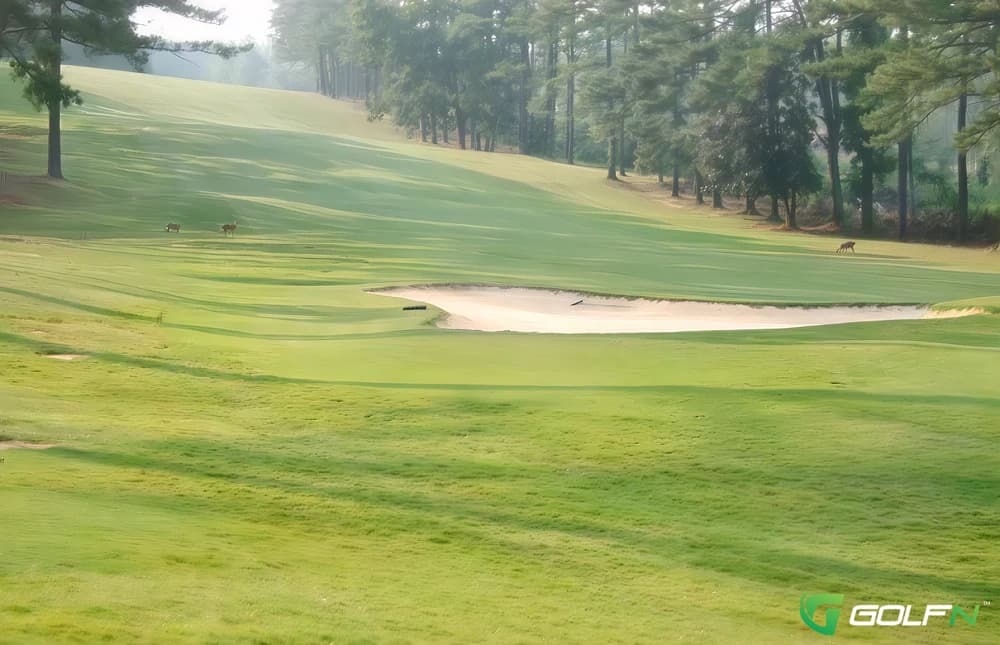 Club At Shoal Creek in Griffin, Georgia — private, 18-hole golf course, designed by Willard Byrd