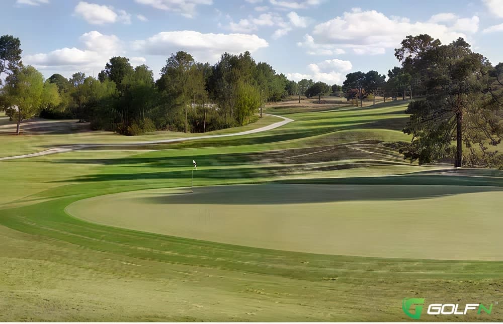 Masters - Eagle Ridge Golf Club in Summerfield, Florida — semi-private, 36-hole golf course, designed by Terry Doss (1998)