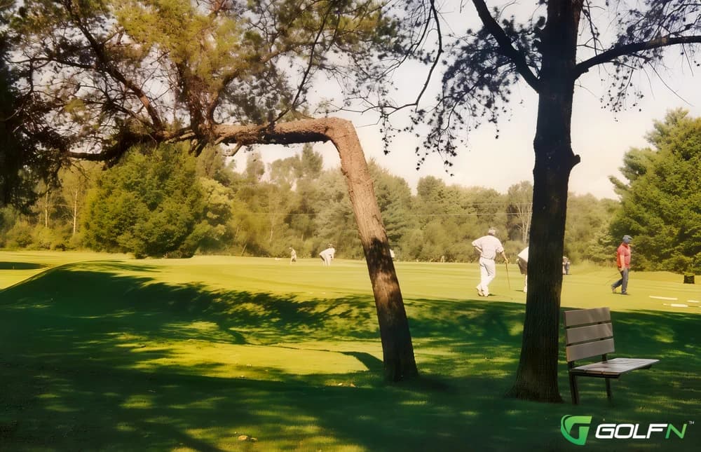 Bent Pine Golf Club in Whitehall, Michigan — public, 18-hole golf course