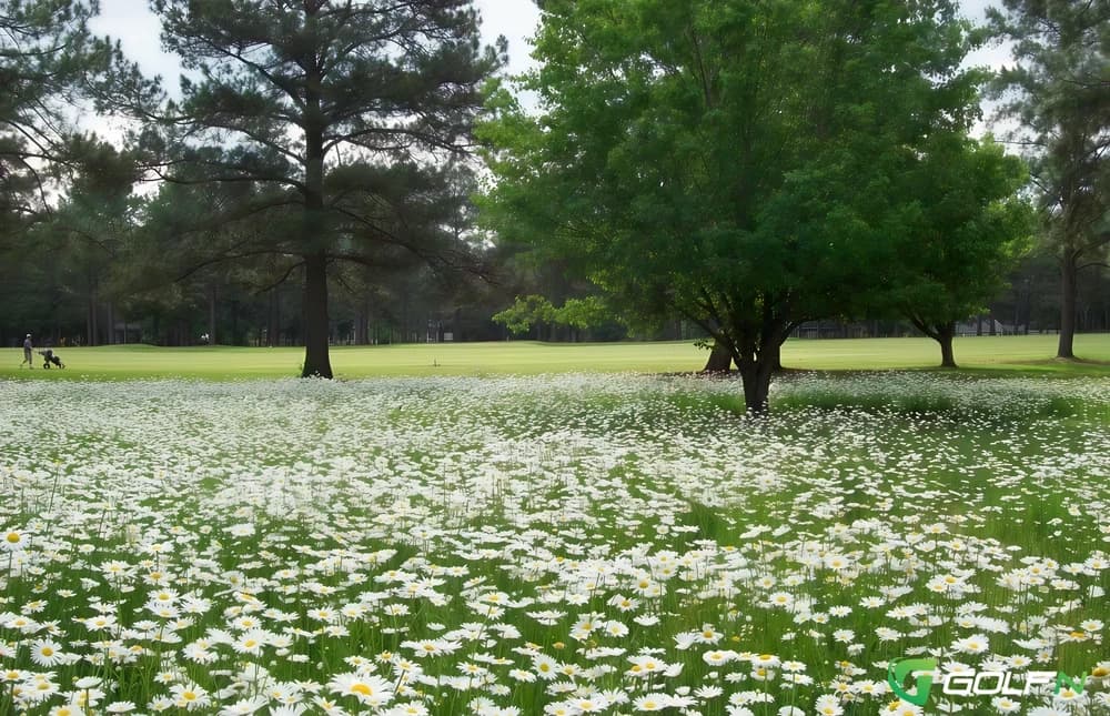 Cherokee Pines Golf & Fitness Club in Perry, Georgia — semi-private, 18-hole golf course, designed by Sid Clarke