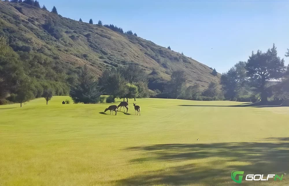 Bear Valley Golf Course in Kodiak, Alaska — military, 9-hole golf course, designed by Richard L. Blackburn (1986)