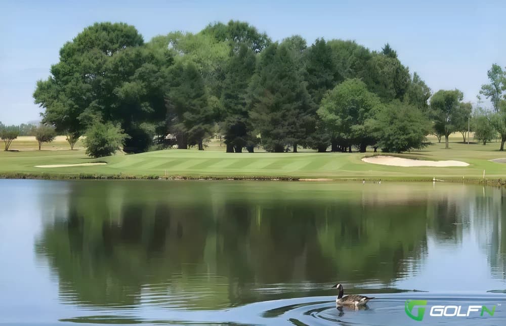 White Plains Country Club in Pageland, South Carolina — semi-private, 18-hole golf course, designed by Ed Riccoboni (1968)
