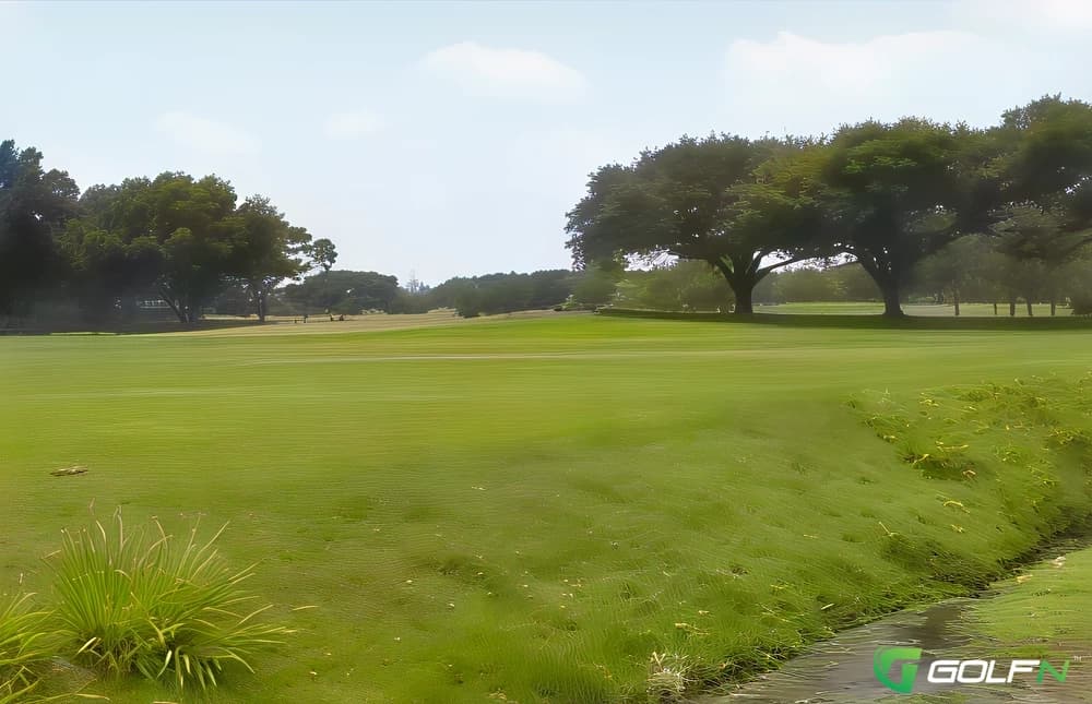 18 - On Top Of The World Golf Club in Clearwater, Florida — private, 18-hole golf course, designed by Chic Adams
