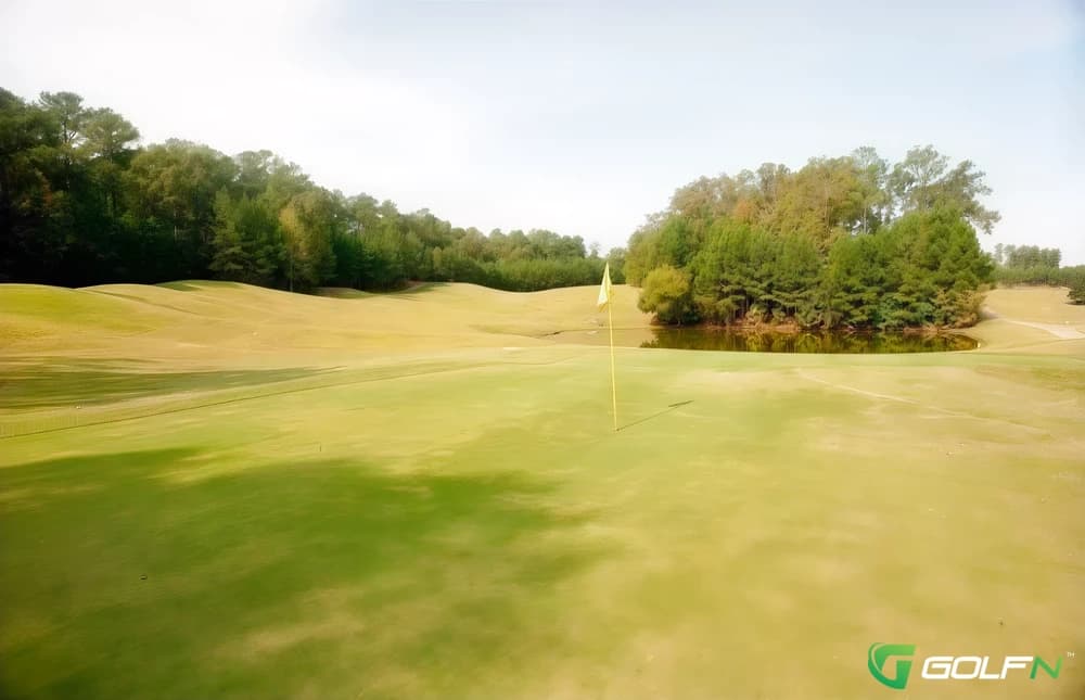 Executive - Mallard Pointe Golf Course in Sardis, Mississippi — public, 9-hole golf course, designed by Bob Cupp