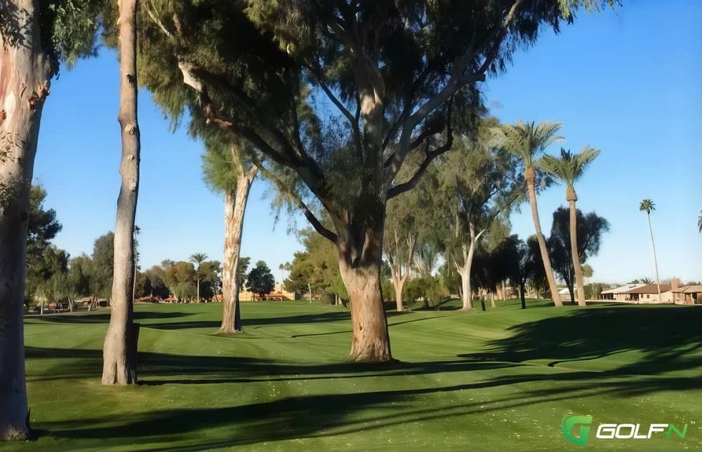 Sunland Village Golf Course in Mesa, Arizona — semi-private, 18-hole golf course, designed by Milton Coggins (1975)