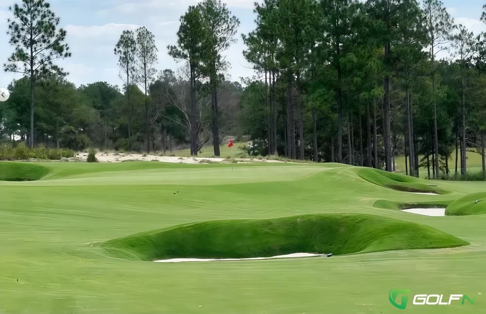 The Tree Farm in Batesburg, South Carolina — 18-hole golf course, designed by Tom Doak (2023)