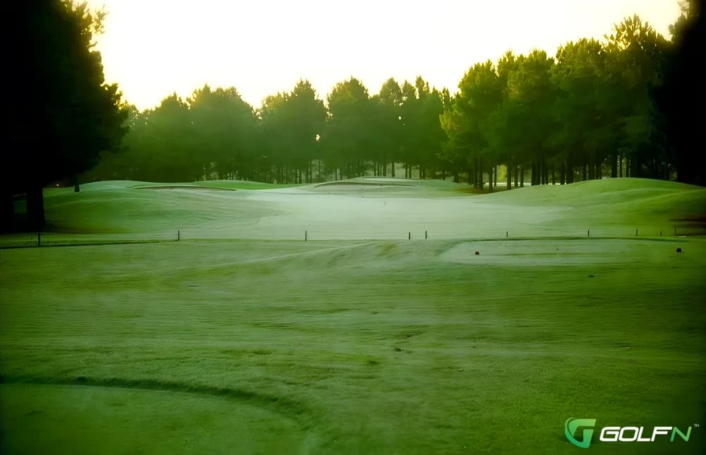 The Players Course - Wyboo in Manning, South Carolina — semi-private, 18-hole golf course, designed by Ernest Wallace Sr. (1992)