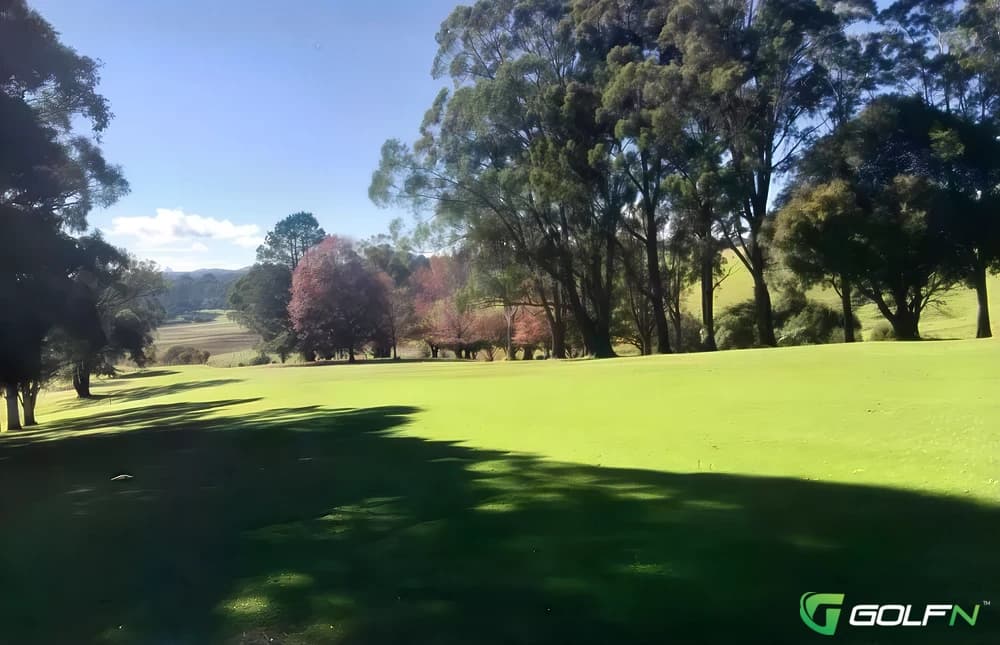 Dorrigo Memorial Rsl Golf Club in Dorrigo, New South Wales β public, 18-hole golf course