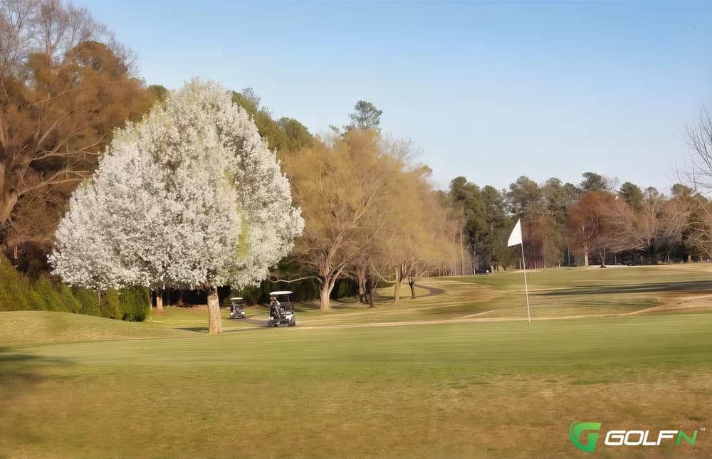 Hillandale Golf Course in Durham, North Carolina — public, 18-hole golf course, designed by George Cobb (1961)