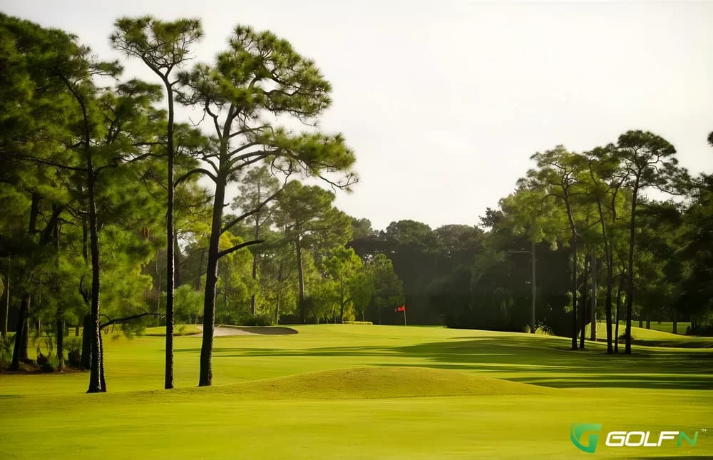 Palmetto Pine Country Club in Cape Coral, Florida — semi-private, 18-hole golf course, designed by Arthur Hills (1979)