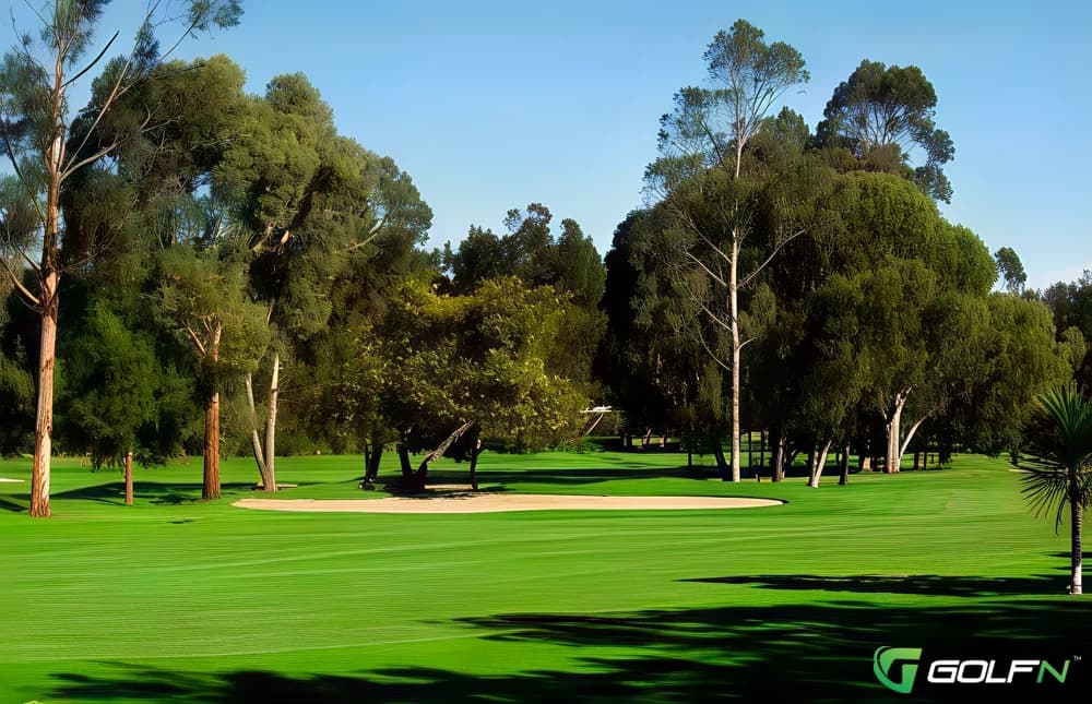 Texaco Country Club in Houston, Texas — semi-private, 18-hole golf course