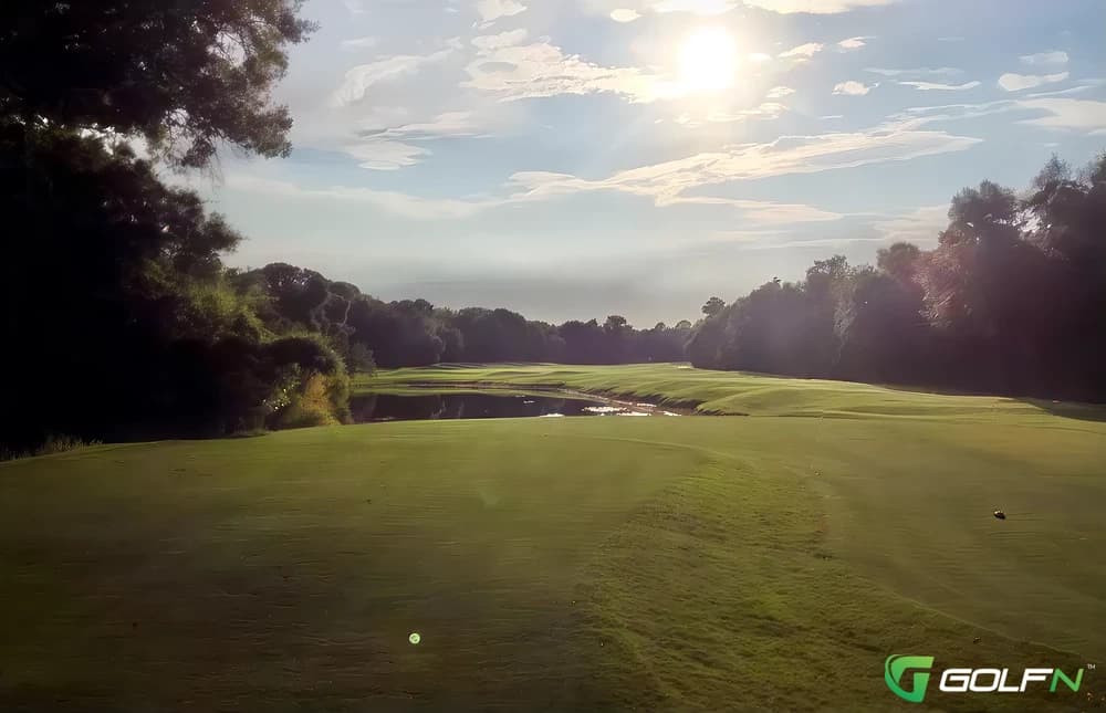 Tampa Palms Golf & Country Club in Tampa, Florida — private, 18-hole golf course, designed by Arthur Hills (1987)