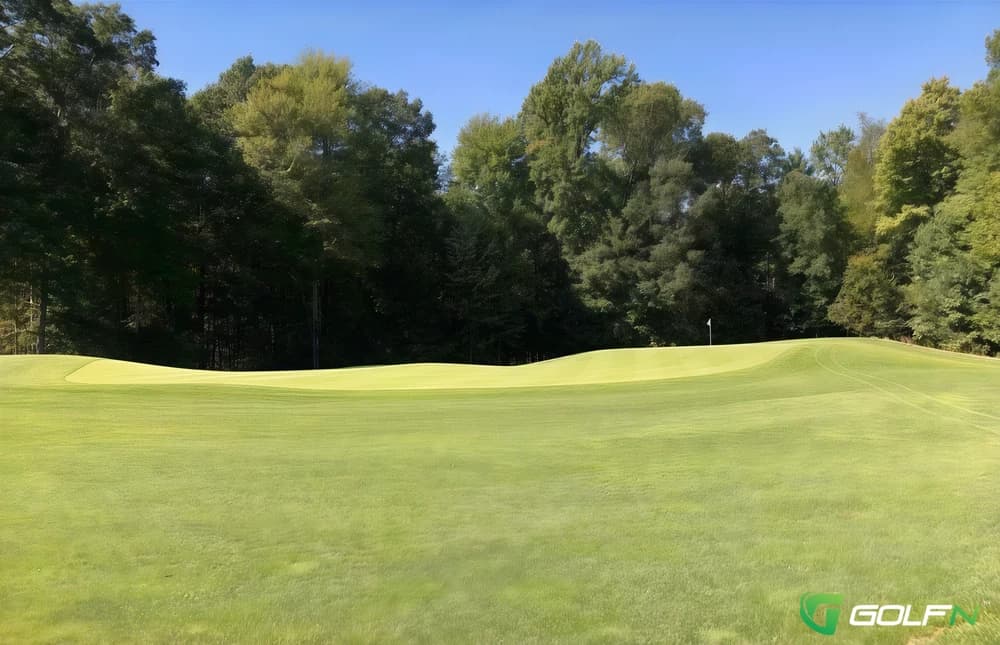 Diamond Springs Golf Course in Hamilton, Michigan — public, 18-hole golf course, designed by Mike DeVries (2002)