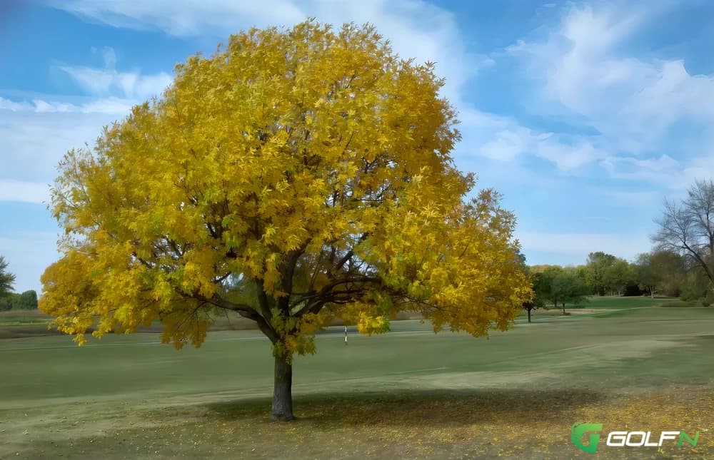 Metcalf Ridge Golf Club in Louisburg, Kansas — semi-private, 18-hole golf course, designed by Leon Andrews