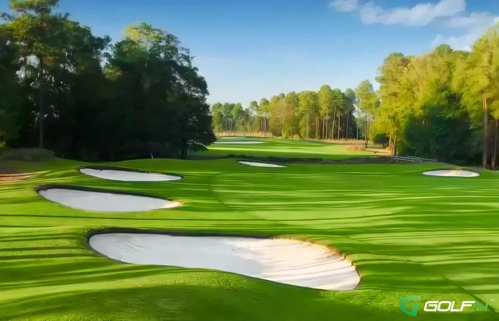 Avocet - Wild Wing Plantation in Conway, South Carolina — public, 27-hole golf course, designed by Willard Byrd